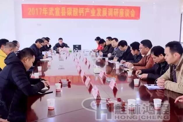 12家礦業(yè)公司共商碳酸鈣產(chǎn)業(yè)發(fā)展思路 12家礦業(yè)公司共商碳酸鈣產(chǎn)業(yè)發(fā)展思路