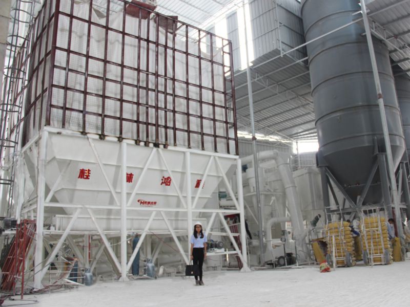 桂林鴻程環(huán)保的HC氫氧化鈣靜態(tài)消化倉